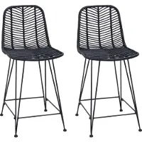 vidaXL Barkruk 2 st Zwart 44,5 x 54,5 x 97,5 cm Riet en Ijzer