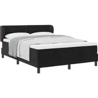 vidaXL Boxspring bed met hoofdeinde Zwart 160 x 200 cm Fluweel