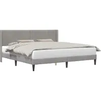 vidaXL Bedframe met hoofdeinde Lichtgrijs 200 x 200 cm Fluweel