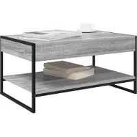 vidaXL Salontafel Grijs Sonoma 80 x 50 x 40 cm Bewerkt hout