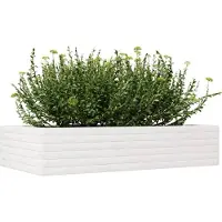 vidaXL Plantenbak 110x60x23 cm massief grenenhout wit