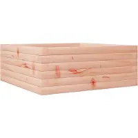vidaXL Plantenbak 60x60x23 cm massief douglashout