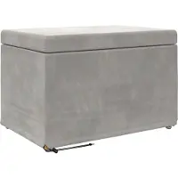 vidaXL Kruk Lichtgrijs 61 x 41 x 40 cm Velvet en Geengineerd Hout