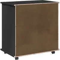 vidaXL Rollende kast 63,5 x 39 x 65,5 cm Massief vurenhout Zwart