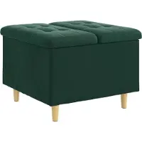 vidaXL Opslagottoman met kussen Donkergroen 60 x 60 x 45 cm Fluweel