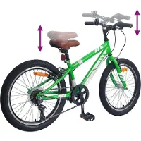 vidaXL Mountainbike 20 Inch 6-Snelheid voor 5-8 jaar oud Groen