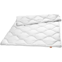 Sleepling 200x200 cm winterdekbed Komfort 100 | winter dekbed warm | overtrek gemaakt van 100% fijne microvezel | Made in Germany | Ökotex 100 | wasbaar op 95 graden
