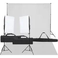 vidaXL Fotostudioset met verlichtingsset en achtergrond