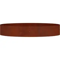 vidaXL Plantenring 5 st Roestig 120 x 120 x 20 cm weervast staal