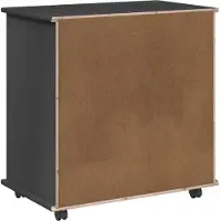 vidaXL Rollende kast 63,5 x 39 x 65,5 cm Massief vurenhout Grijs