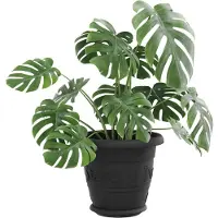 vidaXL Ronde bloemenschalen 24 pcs Zwart Ø 17,5 x 2 cm Kunststof