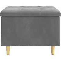 vidaXL Ottoman met opbergruimte, donkergrijs, 60 x 60 x 45 cm, fluweel