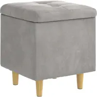 vidaXL Opslagottoman met kussen Lichtgrijs 40 x 40 x 45 cm Fluweel