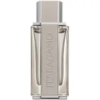 Salvatore Ferragamo Ferragamo Bright Leather Men Edt Vapo 100 ml