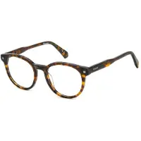 Polaroid PLD D519 50/19/145 Havana Acetaat monturen UNISEX PLD D519