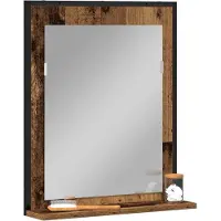 vidaXL Spiegel Oud hout 50 x 12 x 60 cm Glas en Geengineerd Hout