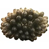 Tade Grape Tafellamp Large Antraciet - Lampenkappen Handgeblazen Glas Anthracite - TADLAMPL8268