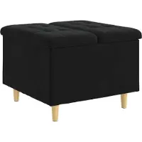 vidaXL Opslagottoman met kussen Zwart 60 x 60 x 45 cm Fluweel