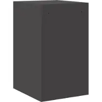 vidaXL Bestandkast met lade Zwart 44 x 50 x 74,5 cm Koudgewalst Staal