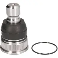 555 SB-1772 Fuseekogel