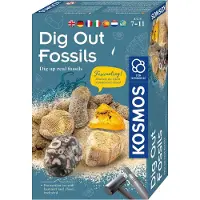 Kosmos Fossilien