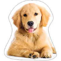 Dog Kussen van Golden Retrever