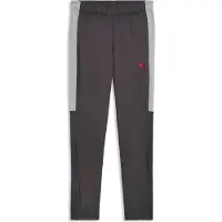Puma individualliga training pants voetbal trainingsbroek heren -