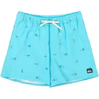 Quiksilver - Stretch Printed Volley 16 Aqua Spaced Out voor Heren van Gerecycled Polyester - Maat M - Blauw
