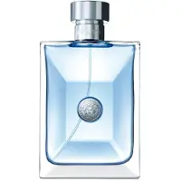 Versace Pour Homme 100 ml Eau de Toilette - Herenparfum