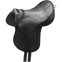 Norton Equestrian REXINE BENJAMIN EDUCATIEF ZADEL Zwart