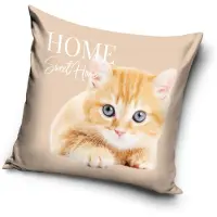 CAT Kattenkussensloop 40*40 cm