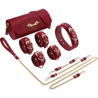 Vuxen BDSM Fancy 5 Item Kit - Luxe Draagtas met 5 Verschillende BDSM Artikelen - Rood