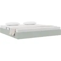 vidaXL Ottoman Bedframe met opslag Lichtgrijs 200 x 200 cm Fluweel