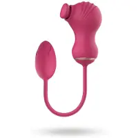 Vuxen Dreamtoys - Essentials - Kloppende vibrator met eitje