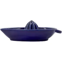 Nicolas Vahé Citrus Citroenpers Blauw - Citruspersen Steengoed Blue - 900001489