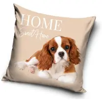 Dog Hondenkussenhoes 40*40 cm