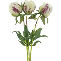 Erutan avon Paeony Marlie bundle a 3 pcs cream 48 cm kunstbloem