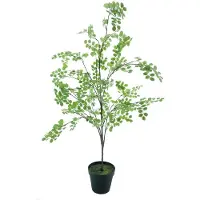 Erutan avon Button leaf tree in pot green 175 cm kunstbloem
