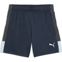 Puma LIGA Training Short Kids