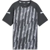 Puma Trainingsshirt individualLIGA Graphic - Grijs/Ijsblauw Kids