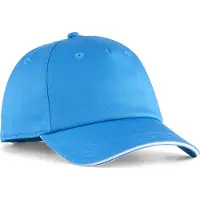 Puma Teamadditions Pet - Royal | Maat: UNI