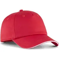Puma Teamadditions Pet - Rood | Maat: UNI