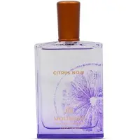 Molinard Citrus Noir Eau de Parfum 75 ml