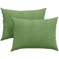 vidaXL Zitkussens 2 pcs Lichtgroen 70 x 50 cm Corduroy stof