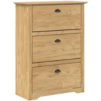 vidaXL Schoenrek BODO 80 x 35 x 118 cm Bewerkt hout Honing bruin