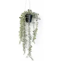 HEM Hangplant kunstplant eucalyptus – Hangende kunstplant met pot – Realistische nepplant – Decoratieve hangplant voor woonkamer, badkamer of kantoor