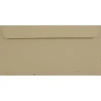 Netuno Ecologische bruine enveloppen DL - 110 x 220 mm - 25 stuks - HK zelfklevend met plakstrip - 130 gram - Flora -