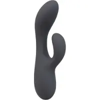 Le Wand - rabbit vibrator met dubbele motor - zwart
