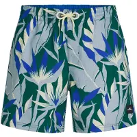 O'Neill Boardshorts chamois / royal blue/koningsblauw / duifblauw / groen