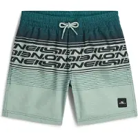 O'Neill Zwemshorts mintgroen / donkergroen / zwart